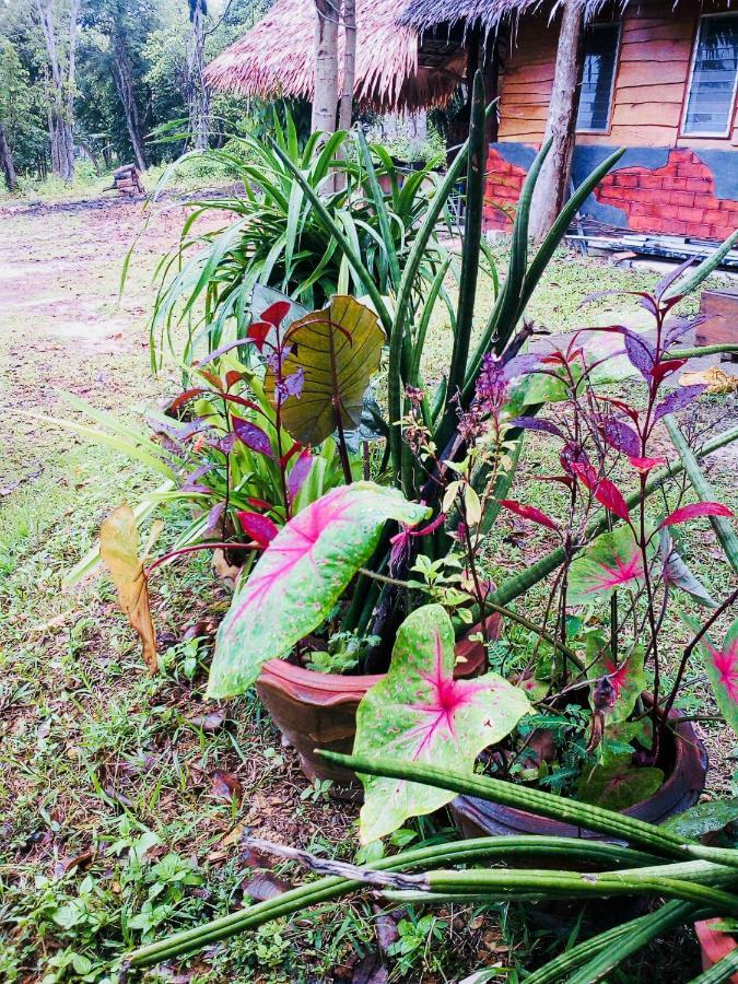 Baan Jing Jai Homestay Resort Lanta Ko Lanta Εξωτερικό φωτογραφία